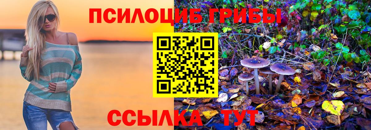 Галлюциногенные грибы мицелий Междуреченск
