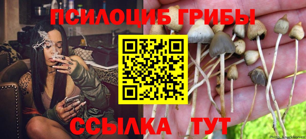 Междуреченск  Псилоцибиновые грибы ЛСД  Псилоцибиновые грибы GOLDEN TEACHER  купить  сайты  Вход с VPN 